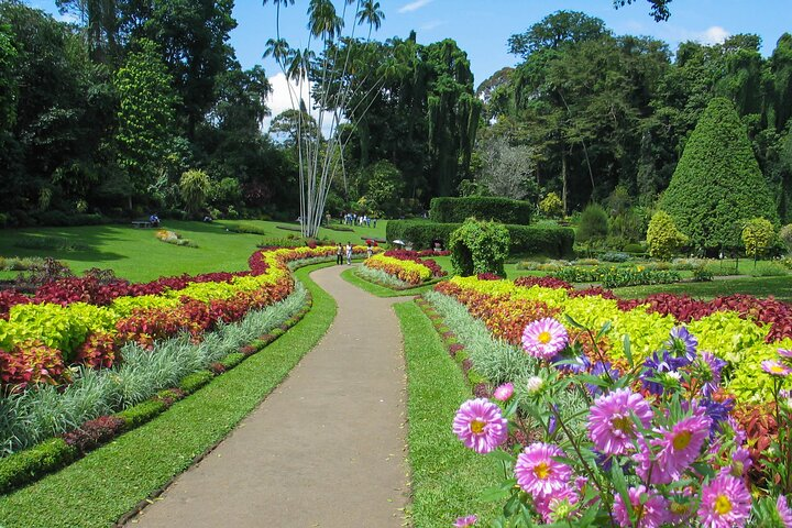 Kandy City Tour from Dambulla - Photo 1 of 10